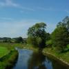 Trave bei Lokfeld/Stormarn