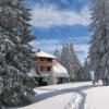 Winter am Feldberg